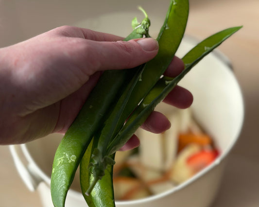 Keraamiline, metallist või plastist biojäätmete prügikast – mida valida, et oleksid otsusega rahul?