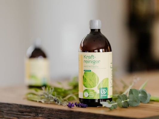 Korduma kippuvad küsimused probiootiliste puhastusvahendite ja kodukoristuse kohta