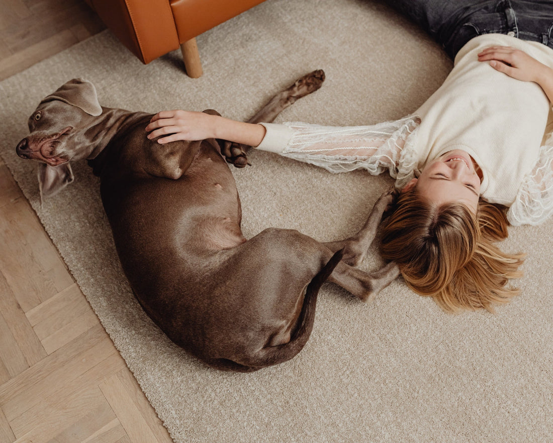 Vaip võib olla puhta kodu varjatud terviserisk