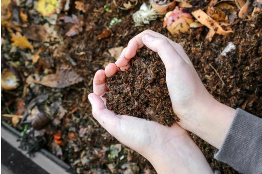 Komposti kiirendamine: 10 praktilist nippi