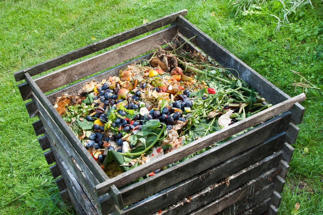 Milline biojäätmete komposter valida, arvestades 2023 jäätmeseaduse muudatusi? - Koduwärk
