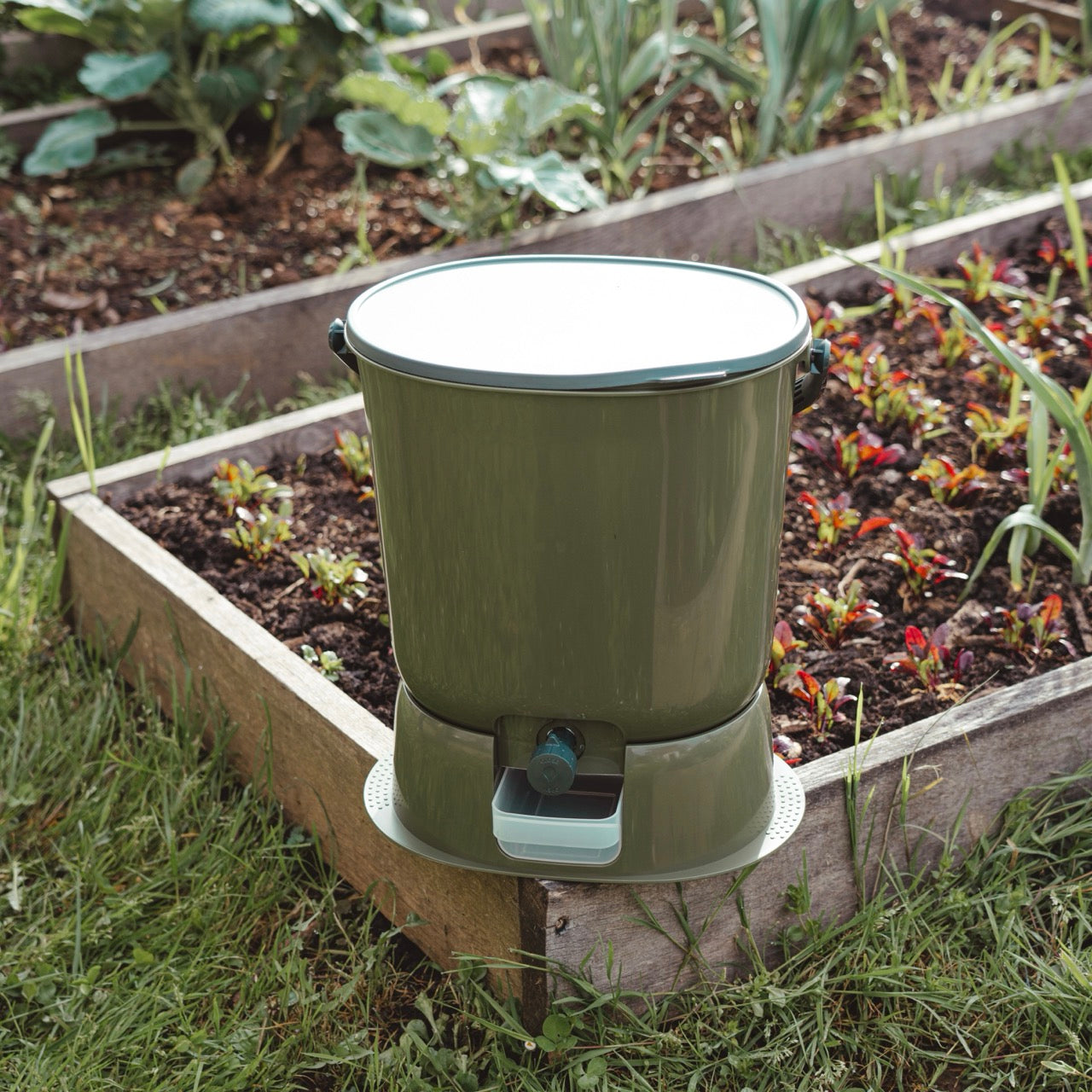 Biojäätmete komposter Bokashi Organko Essential oliiviroheline komplekt 2 x 15,3 L