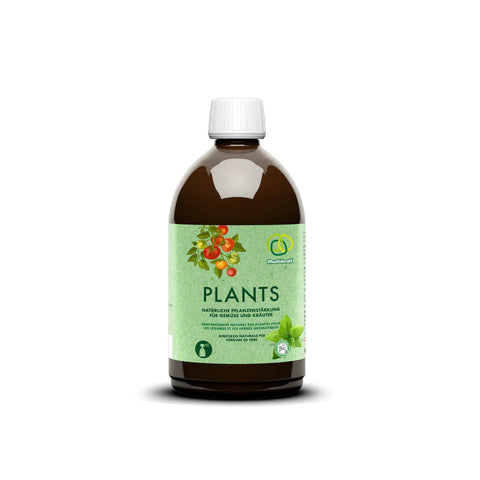 Multikraft Plants taimetugevdaja 0,5L